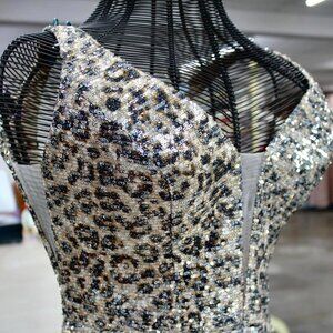 Leopard Dreams